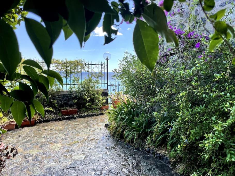 Ocean View Villa With Fast Wi-Fi And Elevator To Town Levanto Buitenkant foto